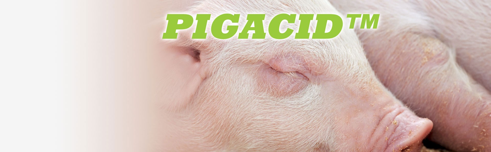 PIGACID™